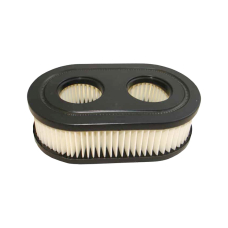 Filtras oro Briggs&Stratton 550ex series