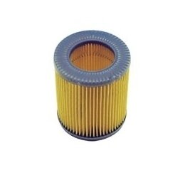 Filtras oro AS-Motor 2-čiam varikliui