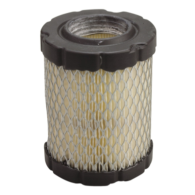 Filtras oro Briggs&Stratton Intek 9-13.5 Ag