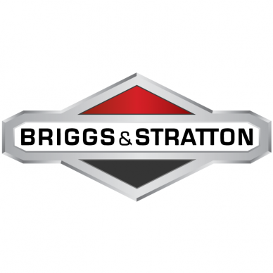 Filtras oro Briggs&Stratton mod. 245432