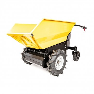 Karutis akumuliatorinis 48V/20AH/1000W 1