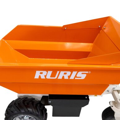 Karutis akumuliatorinis RTS5000 48V/32AH/1000W 5