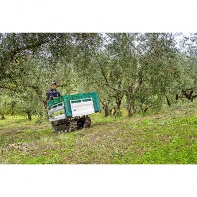 Karutis dyzelinis GRILLO Dumper 507 KD15 diesel 6