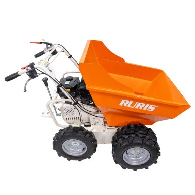 Karutis benzininis RTS6000 6