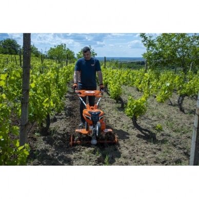 Kultivatorius Ruris 7800CRT su diskine žoliapjove 8
