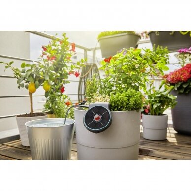 Rinkinys laistymo Gardena AquaBloom 7