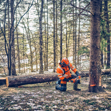 Pjūklas benzininis HUSQVARNA 562XPG Mark II 1