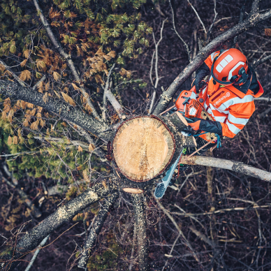 Pjūklas benzininis HUSQVARNA 562XPG Mark II 3