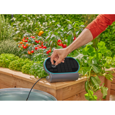 Rinkinys laistymo GARDENA AquaBloom L 11