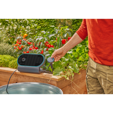 Rinkinys laistymo GARDENA AquaBloom L 8