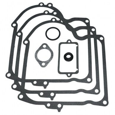 Rinkinys tarpinių Briggs 10-11HP Rinkinys tarpinių Briggs 10-11HP