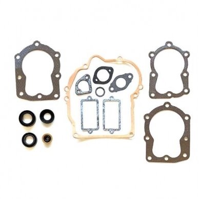Rinkinys tarpinių Tecumseh CENT/VAN/SPEC/CTR55G Rinkinys tarpinių Tecumseh CENT/VAN/SPEC/CTR55G