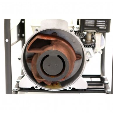 Siurblys purvo VARI WP30D/H 6