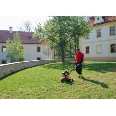 Skarifikatorius Vari PP-60 spyruoklės 3