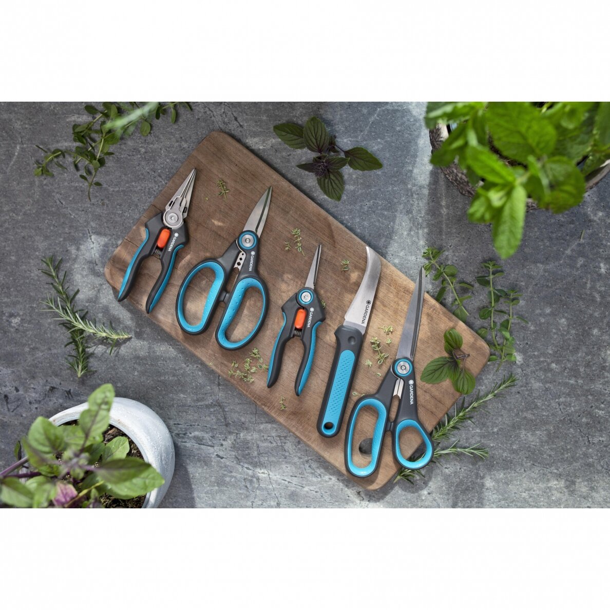 Žirklės augalams HerbCut Gardena su dėklu 10 Žirklės augalams HerbCut Gardena su dėklu 10