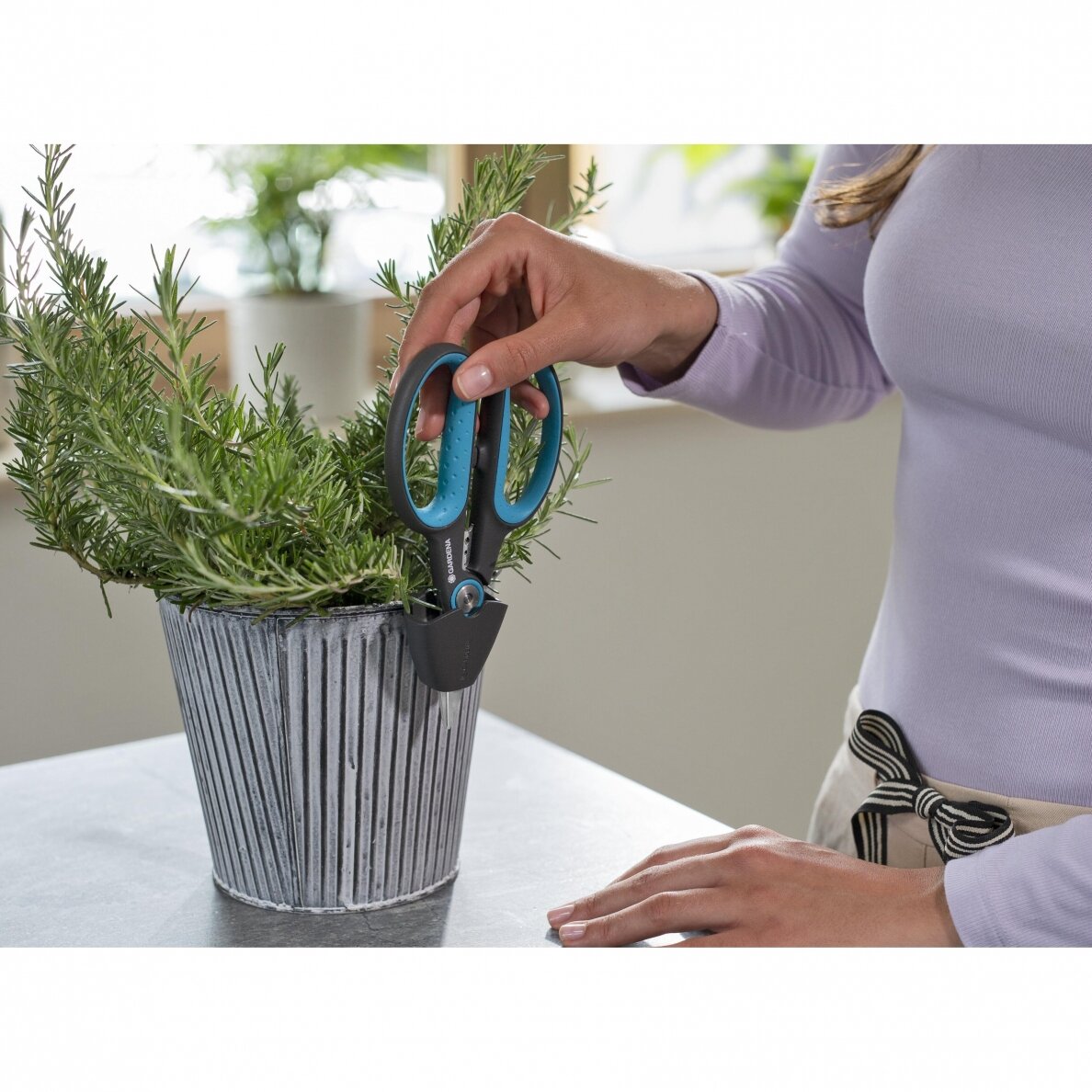 Žirklės augalams HerbCut Gardena su dėklu 6 Žirklės augalams HerbCut Gardena su dėklu 6