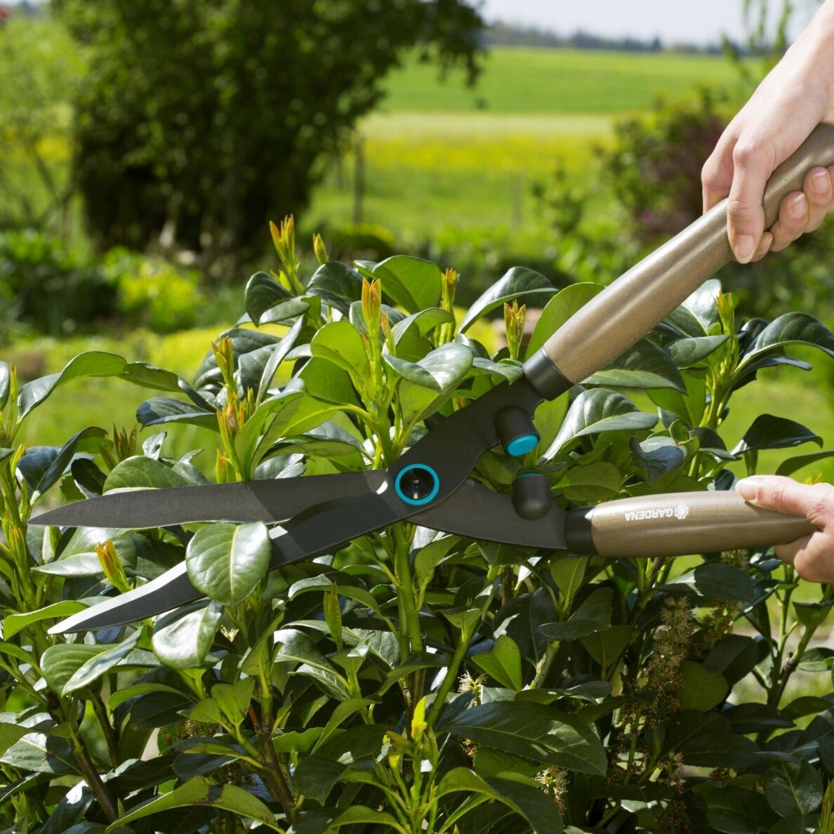 Žirklės gyvatvorei GARDENA NatureCut 2