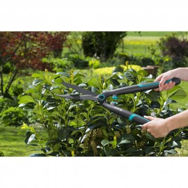 Žirklės gyvatvorei Gardena EasyCut 6