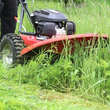 Žoliapjovė būgninė ADELA PRO BDR-720 11