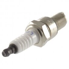 Žvakė degimo F7RTC Loncin